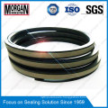 High Pressure Spgw/Phd Type Hydraulic Cylinder Piston Seal Ring